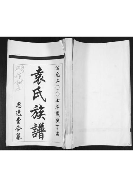 山东袁氏-袁氏族谱[不分卷].pdf电子版缩略图