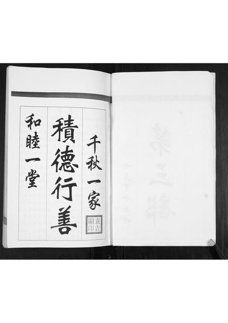 山东袁氏-袁氏族谱[不分卷].pdf电子版预览图2