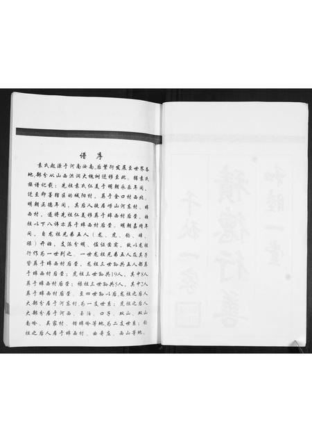 山东袁氏-袁氏族谱[不分卷].pdf电子版预览图3