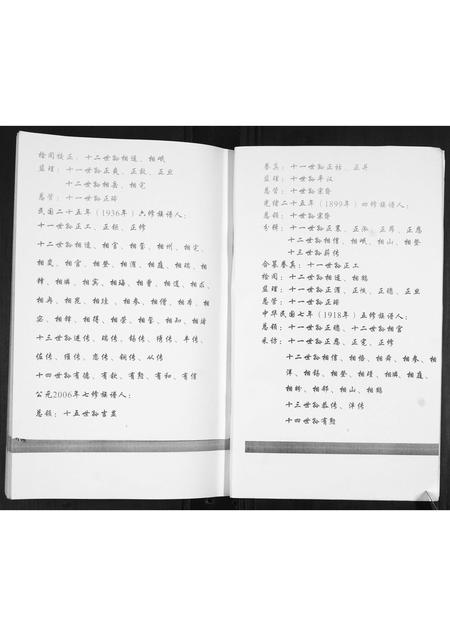 山东袁氏-袁氏族谱[不分卷].pdf电子版预览图5