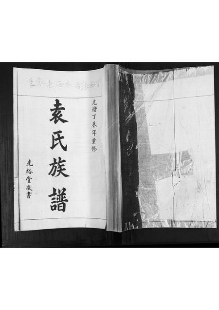 山东袁氏-袁氏族谱[不分卷].pdf电子版缩略图