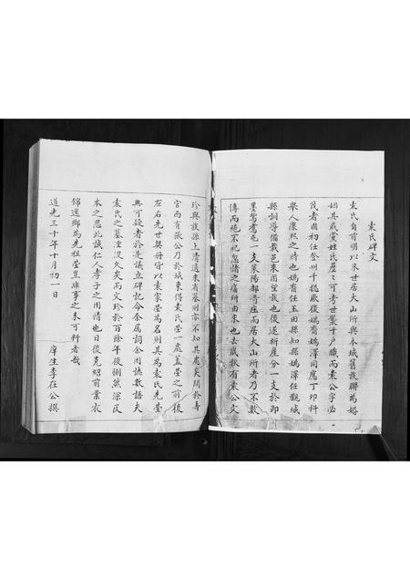 山东袁氏-袁氏族谱[不分卷].pdf电子版预览图1