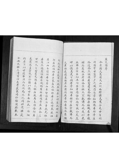 山东袁氏-袁氏族谱[不分卷].pdf电子版预览图2