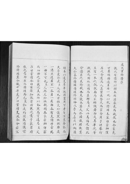 山东袁氏-袁氏族谱[不分卷].pdf电子版预览图5