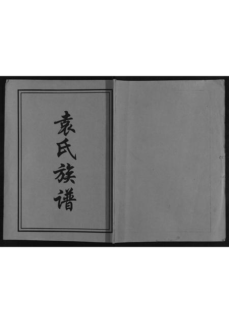 山东袁氏-袁氏族谱[不分卷].pdf电子版缩略图