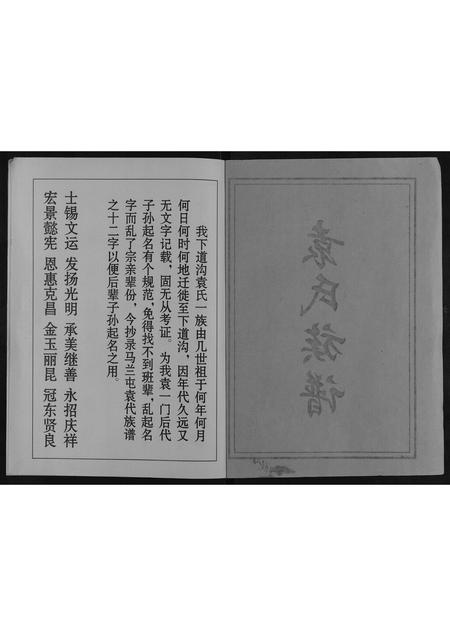 山东袁氏-袁氏族谱[不分卷].pdf电子版预览图1