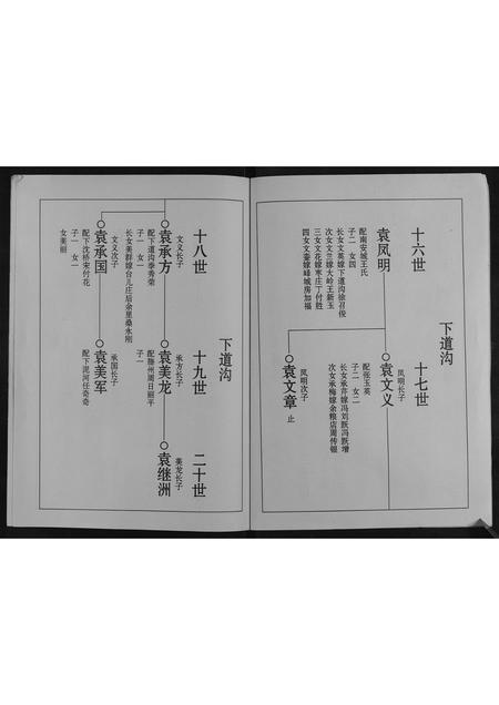 山东袁氏-袁氏族谱[不分卷].pdf电子版预览图3