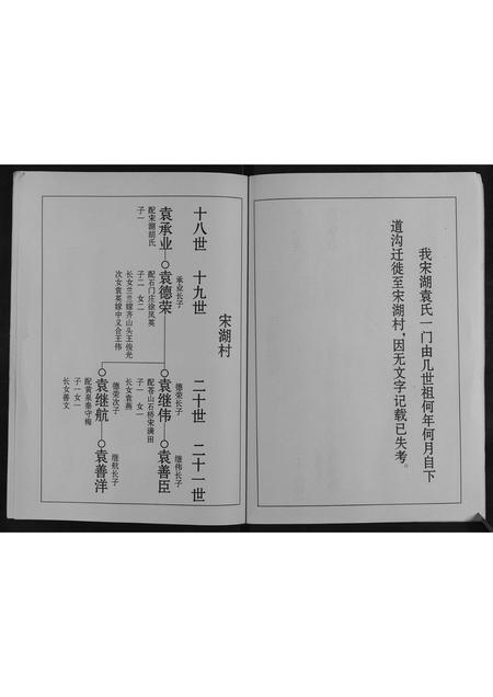 山东袁氏-袁氏族谱[不分卷].pdf电子版预览图4