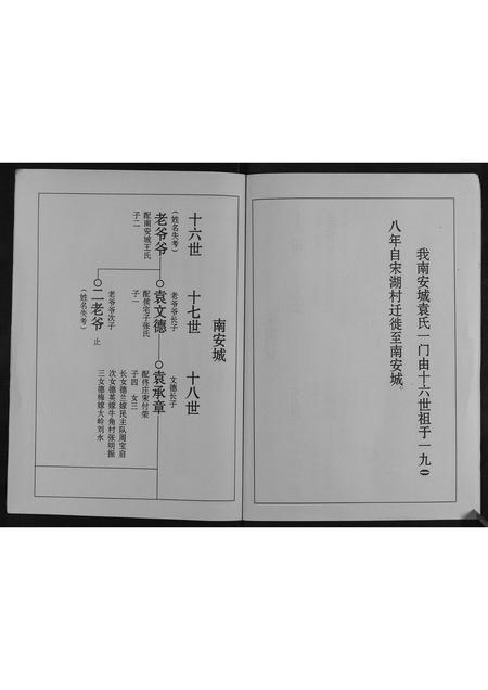 山东袁氏-袁氏族谱[不分卷].pdf电子版预览图5