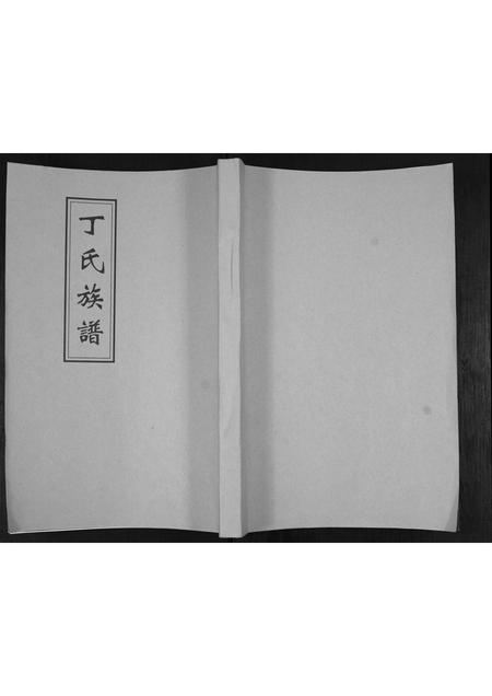 山东丁氏-丁氏族谱.pdf电子版缩略图