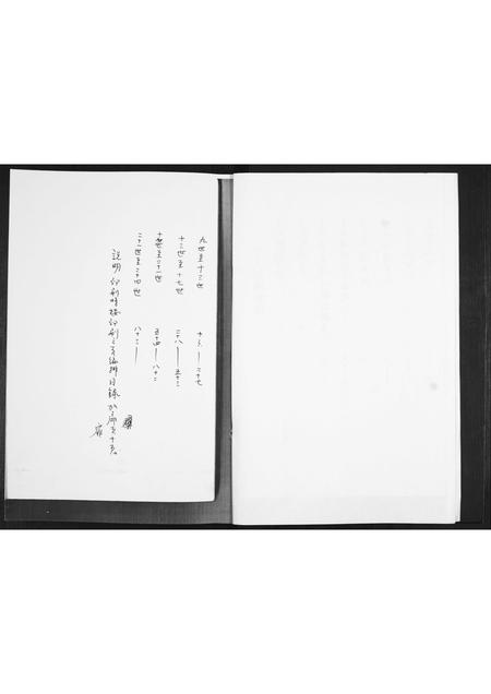 山东丁氏-丁氏族谱.pdf电子版预览图1