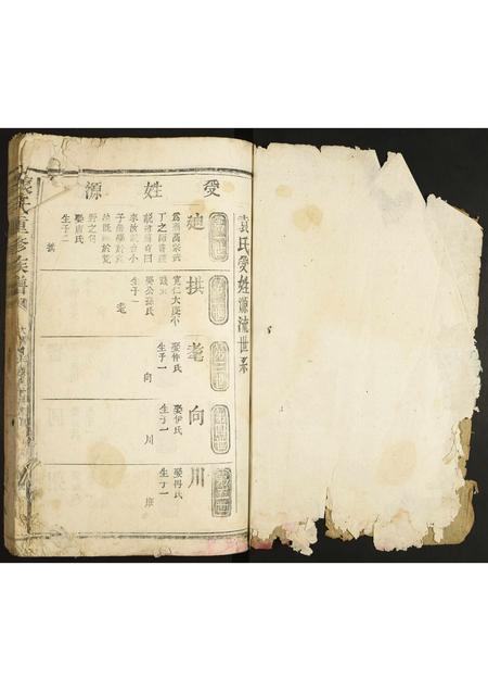 河北袁氏-袁氏重修族谱.pdf电子版预览图1