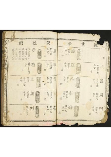 河北袁氏-袁氏重修族谱.pdf电子版预览图2