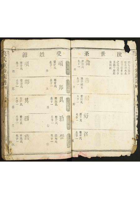 河北袁氏-袁氏重修族谱.pdf电子版预览图3