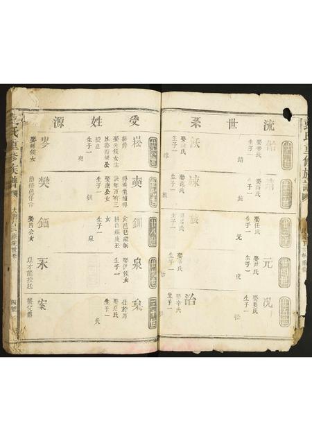 河北袁氏-袁氏重修族谱.pdf电子版预览图4