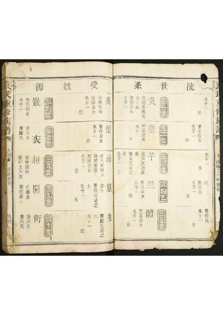 河北袁氏-袁氏重修族谱.pdf电子版预览图5