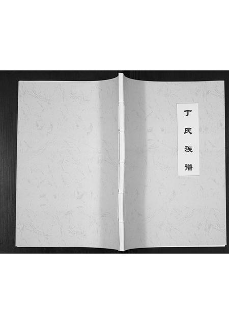 山东丁氏-丁氏族谱[不分卷].pdf电子版缩略图