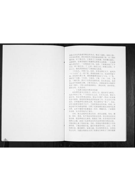 山东丁氏-丁氏族谱[不分卷].pdf电子版预览图2