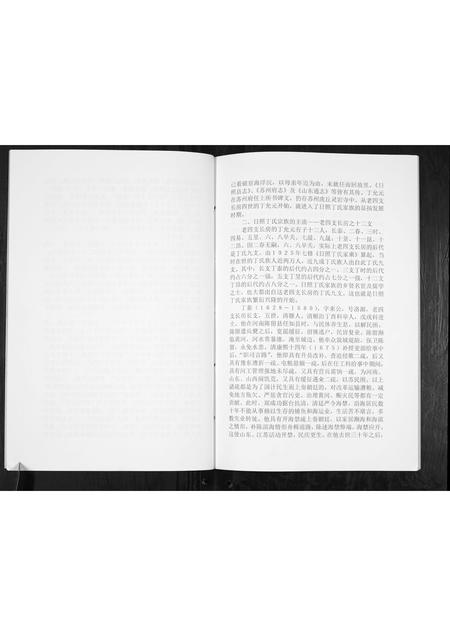 山东丁氏-丁氏族谱[不分卷].pdf电子版预览图4