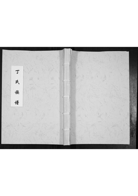 山东丁氏-丁氏族谱[不分卷].pdf电子版缩略图