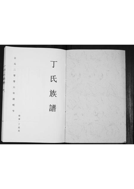 山东丁氏-丁氏族谱[不分卷].pdf电子版预览图1