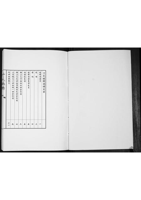 山东丁氏-丁氏族谱[不分卷].pdf电子版预览图2