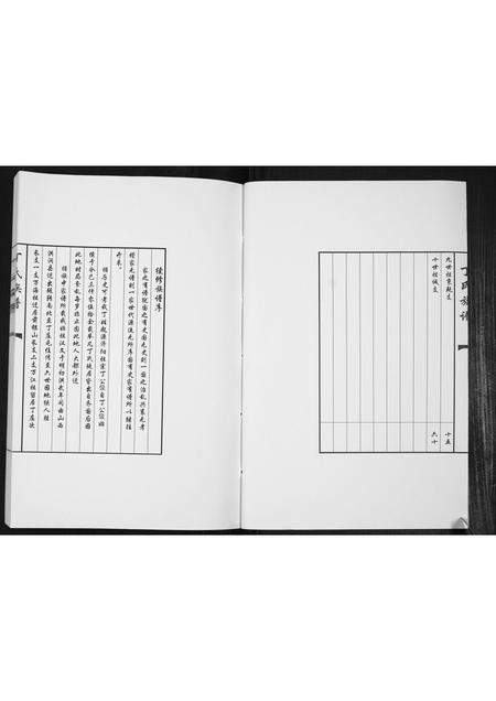 山东丁氏-丁氏族谱[不分卷].pdf电子版预览图3