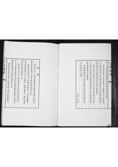 山东丁氏-丁氏族谱[不分卷].pdf电子版预览图4