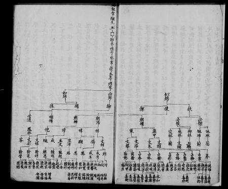 云南袁氏-袁氏家谱.pdf电子版预览图3