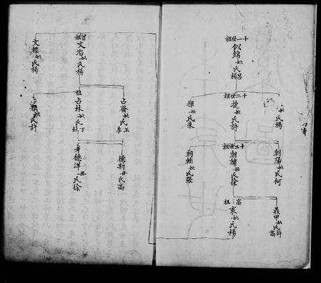 云南袁氏-袁氏家谱.pdf电子版预览图5