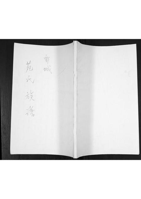 山东苑氏-苑氏族谱[不分卷].pdf电子版缩略图