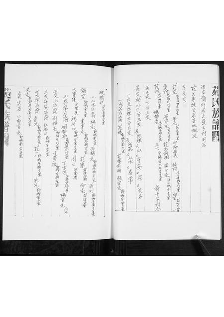 山东苑氏-苑氏族谱[不分卷].pdf电子版预览图4
