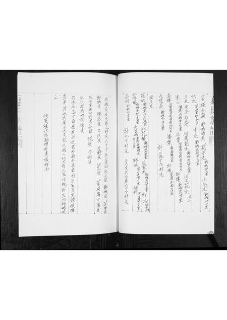 山东苑氏-苑氏族谱[不分卷].pdf电子版预览图5