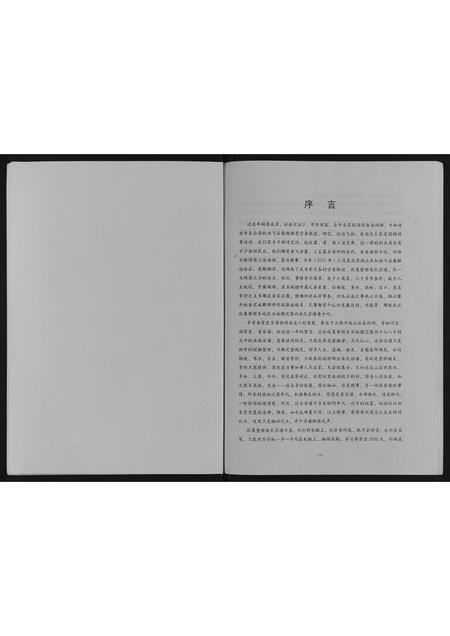 山西岳氏-岳氏宗谱.pdf电子版预览图2