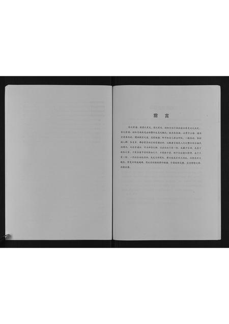 山西岳氏-岳氏宗谱.pdf电子版预览图5