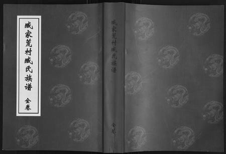 山东臧氏-臧家荒村臧氏族谱[1卷].pdf电子版缩略图