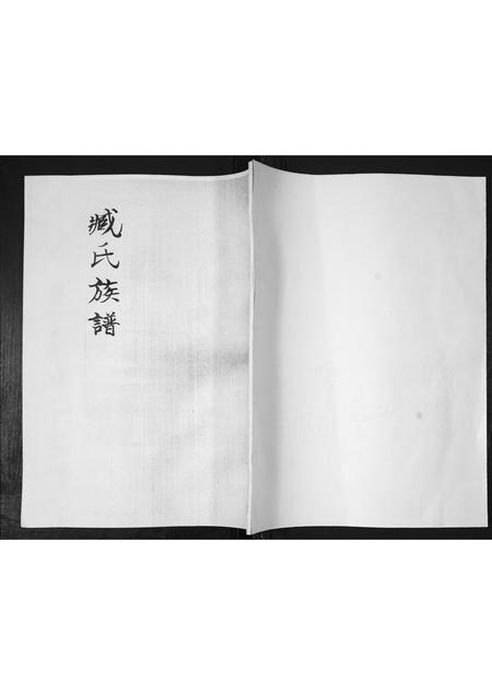 山东臧氏-臧氏族谱.pdf电子版缩略图
