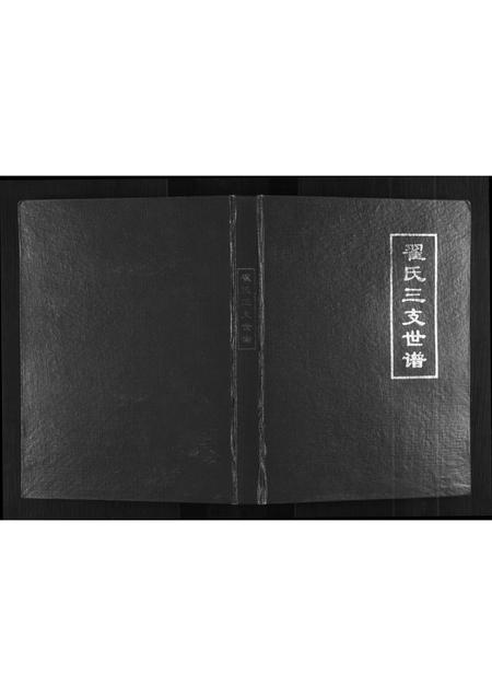 山东翟氏-翟氏三支世谱[不分卷].pdf电子版缩略图