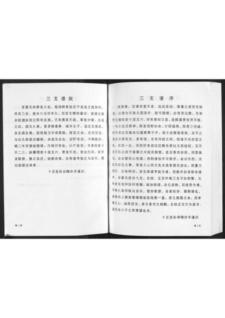 山东翟氏-翟氏三支世谱[不分卷].pdf电子版预览图2