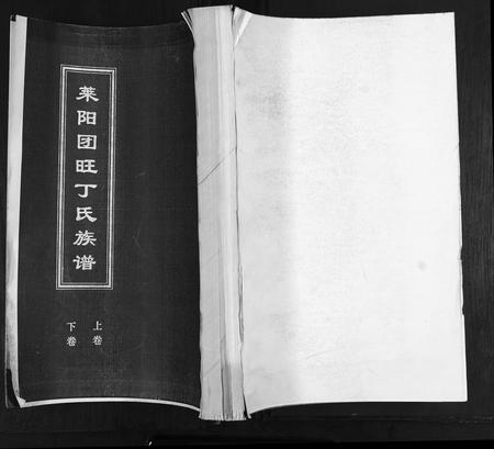 山东丁氏-莱阳团旺丁氏族谱[2卷].pdf电子版缩略图