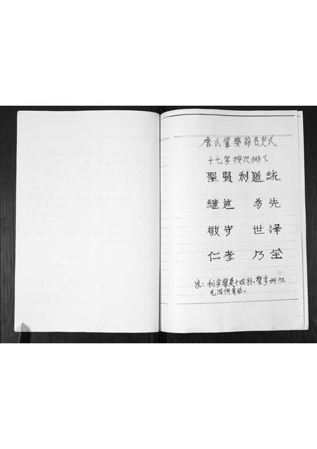 山东詹氏-詹氏族谱.pdf电子版预览图3