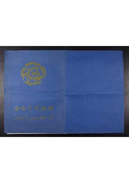 山东丁氏-金岭丁氏族谱[3卷].pdf电子版缩略图