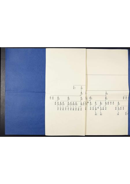 山东丁氏-金岭丁氏族谱[3卷].pdf电子版预览图4