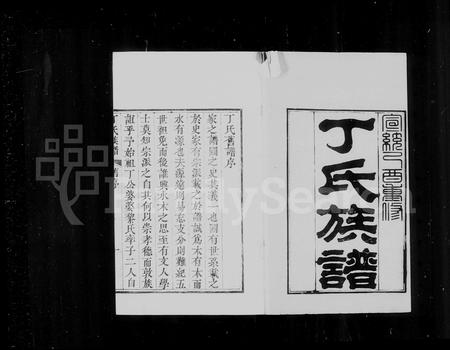 山东丁氏-黄县丁氏族谱 [12卷].pdf电子版缩略图