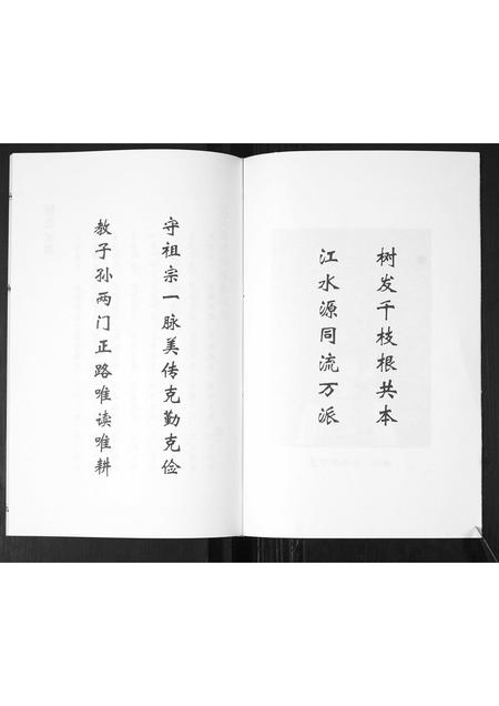 山东展氏-即墨展氏族谱[不分卷].pdf电子版预览图3