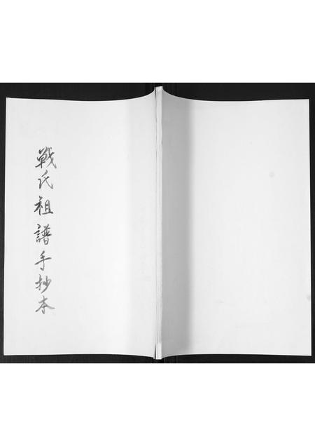 山东战氏-姜戈庄战氏祖谱.pdf电子版缩略图