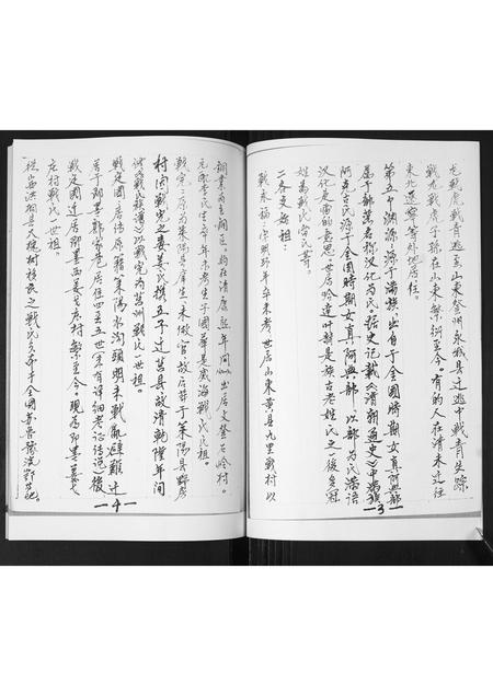 山东战氏-姜戈庄战氏祖谱.pdf电子版预览图4