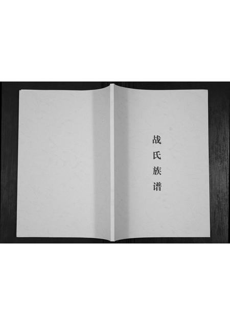 山东战氏-战氏族谱[不分卷].pdf电子版缩略图