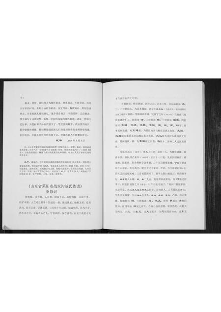 山东战氏-战氏族谱[不分卷].pdf电子版预览图2