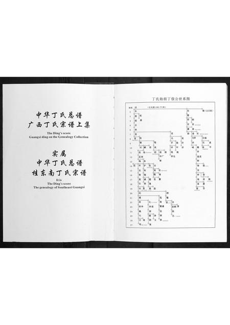 广西丁氏-中华丁氏总谱广西宗谱 [上集].pdf电子版预览图1